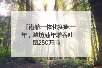港航一体化实施一年，潍坊港年增吞吐量250万吨