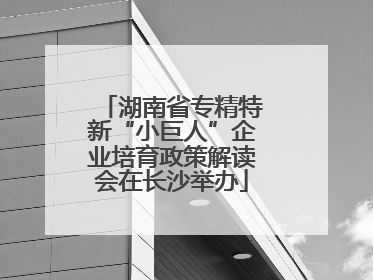 湖南省专精特新“小巨人”企业培育政策解读会在长沙举办