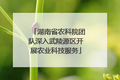 湖南省农科院团队深入武陵源区开展农业科技服务