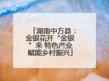 湖南中方县：金银花开“金银”来 特色产业赋能乡村振兴