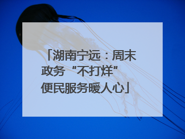 湖南宁远：周末政务“不打烊” 便民服务暖人心