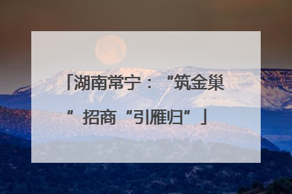 湖南常宁：“筑金巢”招商“引雁归”