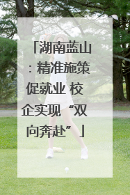 湖南蓝山：精准施策促就业 校企实现“双向奔赴”