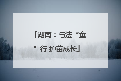 湖南：与法“童”行 护苗成长