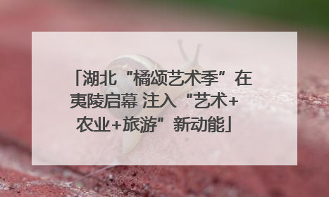 湖北“橘颂艺术季”在夷陵启幕 注入“艺术+农业+旅游”新动能