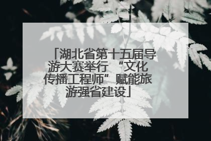 湖北省第十五届导游大赛举行 “文化传播工程师”赋能旅游强省建设