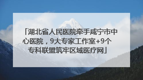 湖北省人民医院牵手咸宁市中心医院，9大专家工作室+9个专科联盟筑牢区域医疗网
