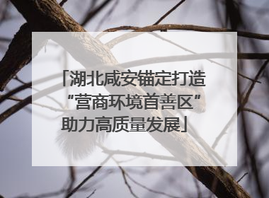 湖北咸安锚定打造“营商环境首善区”助力高质量发展