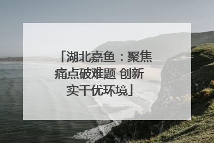 湖北嘉鱼：聚焦痛点破难题 创新实干优环境