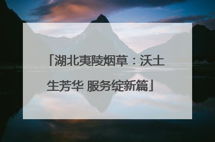 湖北夷陵烟草：沃土生芳华 服务绽新篇