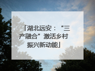 湖北远安：“三产融合”激活乡村振兴新动能