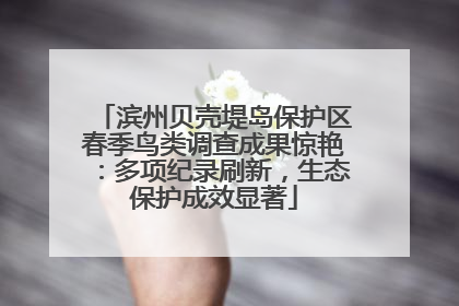 滨州贝壳堤岛保护区春季鸟类调查成果惊艳：多项纪录刷新，生态保护成效显著