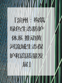 滨州：构筑绿色生态防护体系 推动黄河流域生态保护和高质量发展