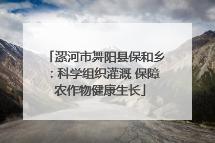 漯河市舞阳县保和乡：科学组织灌溉 保障农作物健康生长