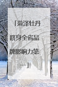 菏泽牡丹跻身全省品牌影响力第一