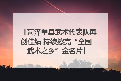 菏泽单县武术代表队再创佳绩 持续擦亮“全国武术之乡”金名片