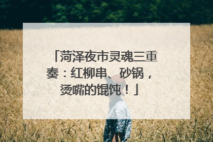 菏泽夜市灵魂三重奏：红柳串、砂锅，烫嘴的馄饨！