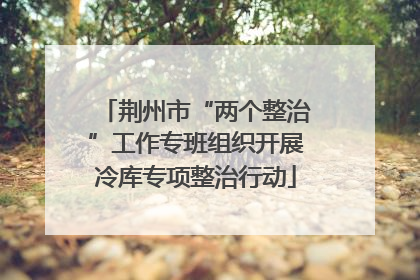荆州市“两个整治”工作专班组织开展冷库专项整治行动