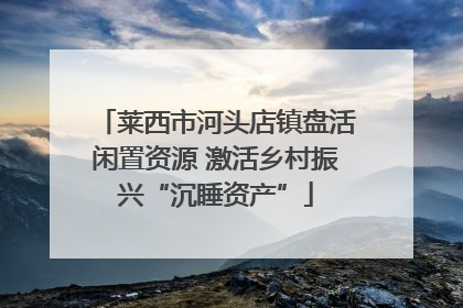 莱西市河头店镇盘活闲置资源 激活乡村振兴“沉睡资产”