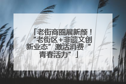 老街商圈展新颜！“老街区+非遗文创新业态”激活消费“青春活力”