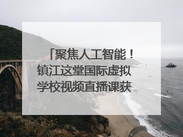 聚焦人工智能！镇江这堂国际虚拟学校视频直播课获韩美伙伴点赞