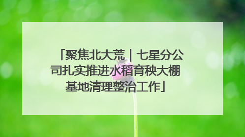 聚焦北大荒｜七星分公司扎实推进水稻育秧大棚基地清理整治工作