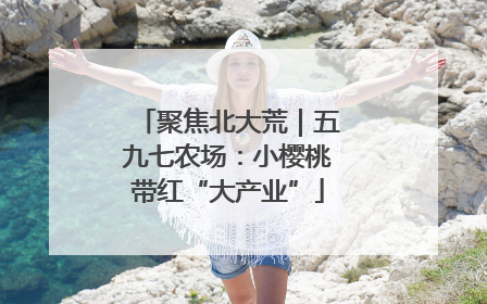 聚焦北大荒｜五九七农场：小樱桃带红“大产业”