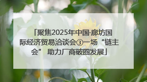 聚焦2025年中国·廊坊国际经济贸易洽谈会③一场“链主会” 助力厂商破圈发展