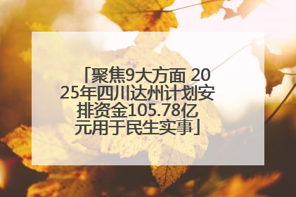 聚焦9大方面 2025年四川达州计划安排资金105.78亿元用于民生实事