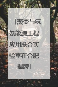 聚变与氢氨能源工程应用联合实验室在合肥揭牌