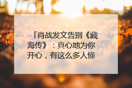 肖战发文告别《藏海传》：真心地为你开心，有这么多人懂你，导演回应“是否有第二季”