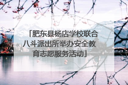 肥东县杨店学校联合八斗派出所举办安全教育志愿服务活动
