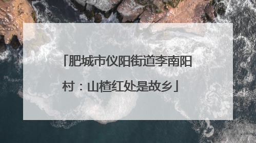 肥城市仪阳街道李南阳村：山楂红处是故乡