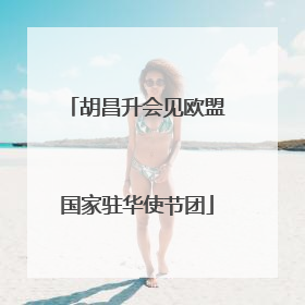 胡昌升会见欧盟国家驻华使节团