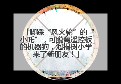 脚踩“风火轮”的“小吒”，可脱离遥控板的机器狗，泡桐树小学来了新朋友！