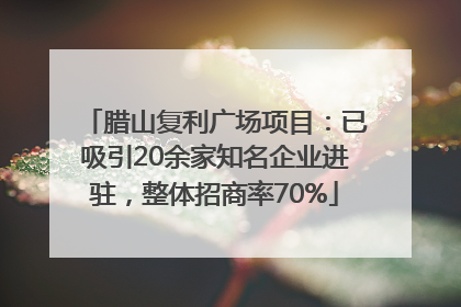 腊山复利广场项目：已吸引20余家知名企业进驻，整体招商率70%