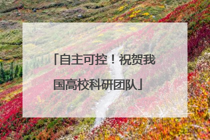 自主可控！祝贺我国高校科研团队