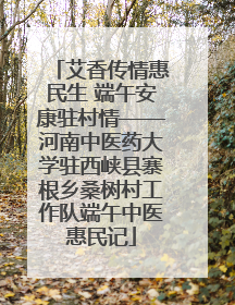 艾香传情惠民生 端午安康驻村情——河南中医药大学驻西峡县寨根乡桑树村工作队端午中医惠民记