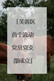 芙蓉区首个流动党员党支部成立