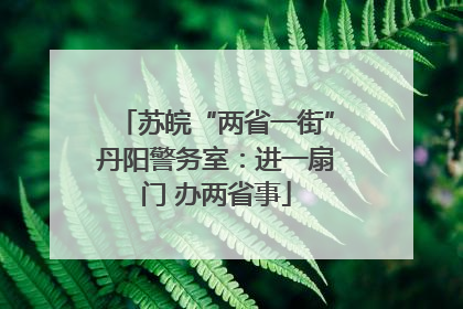 苏皖“两省一街”丹阳警务室：进一扇门 办两省事