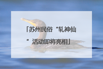 苏州民俗“轧神仙”活动即将亮相
