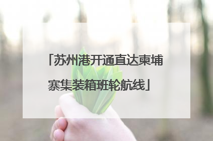 苏州港开通直达柬埔寨集装箱班轮航线