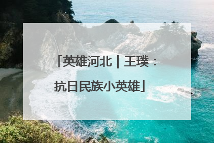 英雄河北｜王璞：抗日民族小英雄