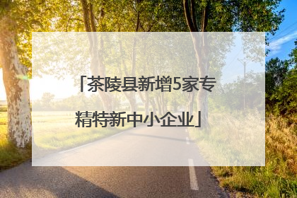 茶陵县新增5家专精特新中小企业