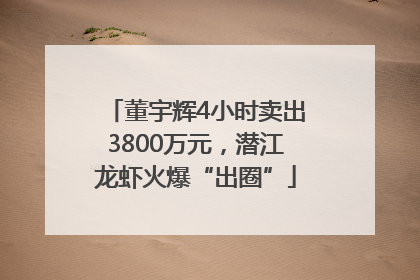 董宇辉4小时卖出3800万元，潜江龙虾火爆“出圈”