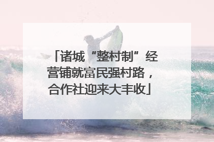 诸城“整村制”经营铺就富民强村路，合作社迎来大丰收
