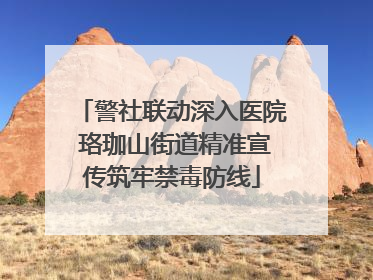 警社联动深入医院 珞珈山街道精准宣传筑牢禁毒防线