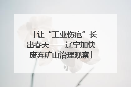 让“工业伤疤”长出春天——辽宁加快废弃矿山治理观察