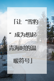 让“雪豹”成为想起青海时的温暖符号