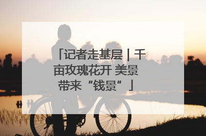 记者走基层｜千亩玫瑰花开 美景带来“钱景”